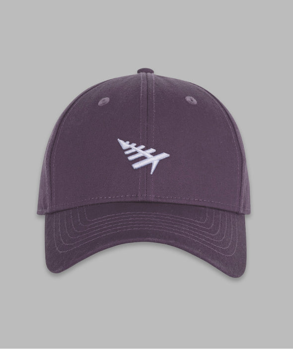 Paper Planes Dad Hat