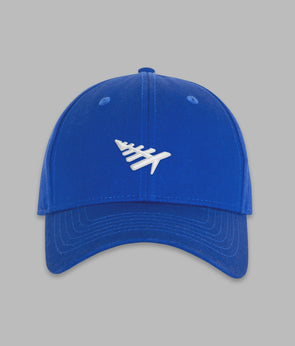 Paper Planes Dad Hat